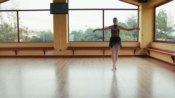 Talented Dancer Balancing on Pointe Shoes video