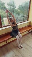 Ballerina Executing Precise Pointe Techniques video