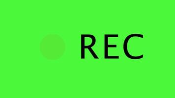 REC frame icon animation on green screen, recording icon button. Recording sign video