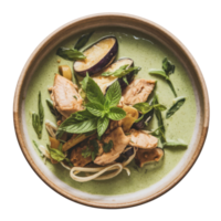 Aromatic chicken and eggplant curry in a creamy green sauce, garnished with fresh herbs, served in a rustic bowl isolated on transparent background png