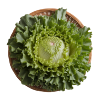 Crisp lettuce head with ruffled leaves, a vibrant green vegetable sits in a wicker basket isolated on transparent background png