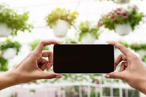 Modern technologies in floristry. Hands of african american girl with smart watch holding smartphone with empty screen in greenhouse, with flowers in pots background, pov, free space photo