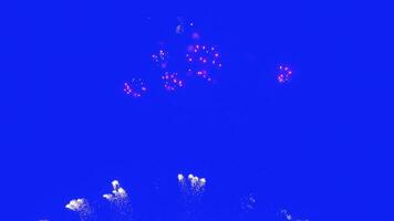 Abstract Real Firework on blue screen chroma key background, 4th of July independence day and new year eve 2024 concept. High quality 4k chromakey slow motion cinematic video