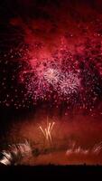 Spectacular fireworks festival at night illuminating the sky with colorful explosions and a captivated crowd of fans video