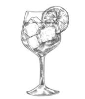 Aperol cocktail, illustration in sketch style. vector