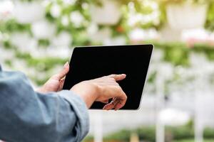 Work in greenhouse and checking plants. Hands of african american girl with rolled up sleeves, presses finger on tablet with blank screen, on flowers in pots, hanging from ceiling background photo
