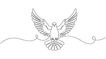 Minimalist line art illustration of a flying dove with extended wings vector