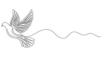 Elegant single line drawing of a dove in flight symbolizing peace and freedom vector