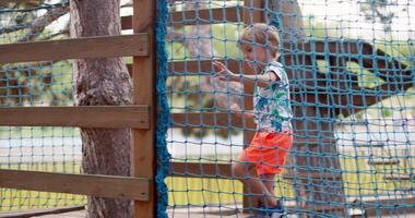 Child navigating obstacle course at adventure park video