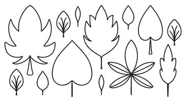 Set Doodle Leaves. Contour different forms of Botany. Linear coloring of Plants. Collection of symmetrical elements of Trees, oak, chestnut. Minimalistic outline of Foliage icon. illustration vector