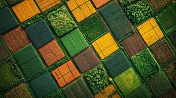 Aerial view displays a mosaic of agricultural fields with distinct colors and patterns. The layout indicates different crop types and land use, contributing to geospatial analysis. photo