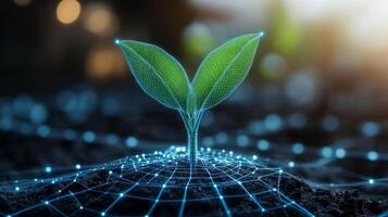 A young plant with vibrant green leaves emerges from soil, surrounded by digital connections, symbolizing modern agricultural techniques that enhance selection and growth in farming environments. photo