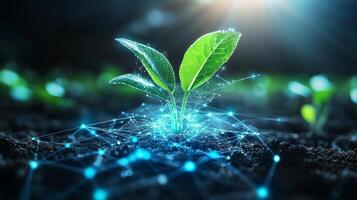 Young plants emerge from the soil, illuminated by sunlight, showcasing modern agricultural techniques. Digital networks surround the seedlings, highlighting innovation in crop selection and growth. photo