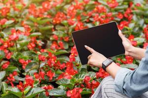 Collecting data on quality of plants. African american girl with smart watch clicks on screen of digital tablet and looks at plantation of red flowers, cropped, empty screen photo