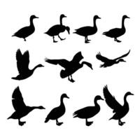 Silhouettes of ducks and geese minimal graphic. vector