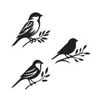 Set of sparrow bird silhouette on white background. vector