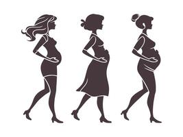 From Bump to Birth A Visual Guide in Silhouettes vector
