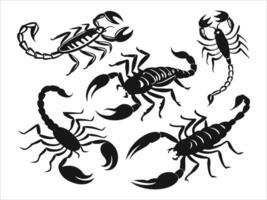 Abstract Scorpion Shape set Illustration vector