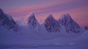 A snowy mountain range with pink clouds in the sky photo