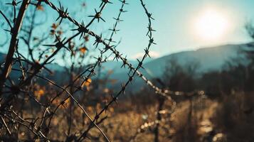 Barbed wire fence in the field with mountains in the background photo