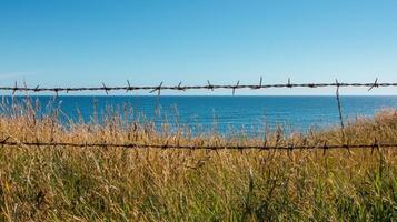 A barbed wire fence with a view of the ocean photo