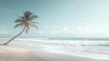 A single palm tree leans over sandy shores, overlooking calm ocean waves that softly lap against the beach. The sky is clear, creating a peaceful atmosphere photo