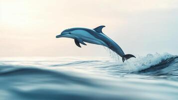 A sleek dolphin jumps joyfully above the gentle ocean waves under a soft morning light. The tranquil scene evokes a sense of peace and harmony with nature photo