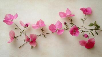 Soft pink blooms of flowers are gracefully arranged across a light textured surface, showcasing their natural beauty in a tranquil spring setting photo