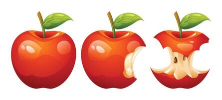 Set of cartoon apple illustrations showing whole and bitten apples with seeds. Illustration vector