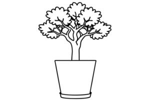 Simple line art of a bonsai tree in a pot vector