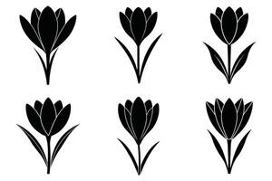 Set of Simple Black and White Crocus Flower Icons vector