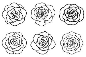 Six Simple Line Art Rose and Flower Illustrations vector