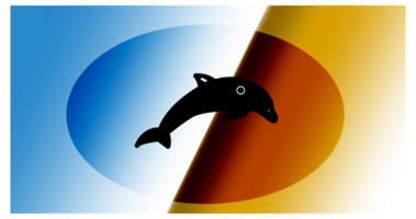 Abstract Dolphin Silhouette With Dual Color Gradient Background png