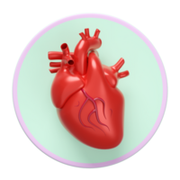 3d heart human realistic icon isolated. 3d illustration render png