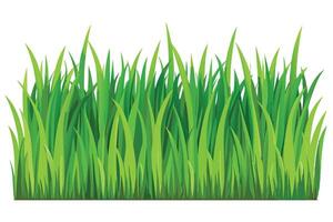 Lush green grass border design perfect for nature-themed projects. vector