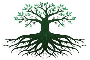 Majestic Tree Roots Symbolizing Strength and Growth vector