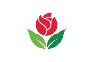 Simple Illustration of a Red Rose with Green Leaves on White Background vector