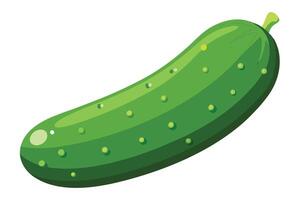 Fresh, Vibrant Cucumber Illustration for Culinary Use vector