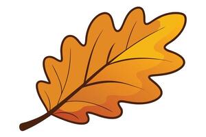 A Vibrant autumn oak leaf graphic design vector