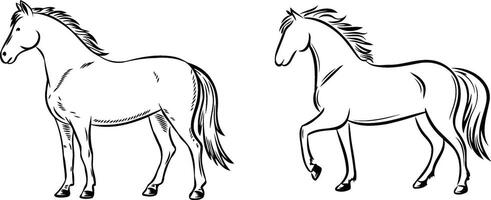 Two elegant horses in a simple black and white line drawing. vector