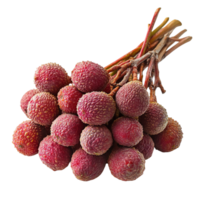 Close-up of fresh lychee fruits in bunches isolated on transparent background png