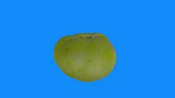 Green tomato 3D rendering against blue background video