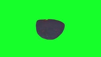 Vivid 3D rendering of a fig on a bright green background video