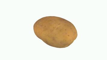 Realistic 3D rendering of a textured potato on a plain background video