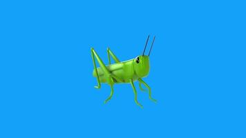 Realistic 3D rendering of a green grasshopper on a blue background video