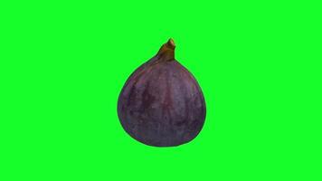 3D rendering of a fig on a green background with a simple design video