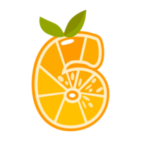 Orange fruit number Six. Orange in the shape of number 6. Alphabet, letters, numbers and signs made from orange or citrus png