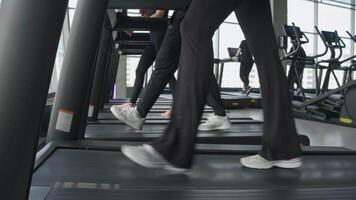 Close-up of treadmills arranged in row, showing men's and women's feet in running shoes while walking or running, when athletes warm up in gym, during day. video