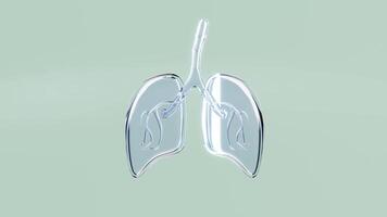 3d Chest X ray or CXR with human realistic lung transparent isolated on green background. world pneumonia day, check lung health, organs concept, 3d illustration render video