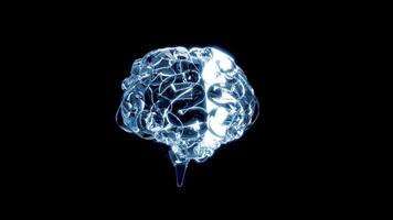 3d human brain transparent icon isolated on black background. 3d illustration render video